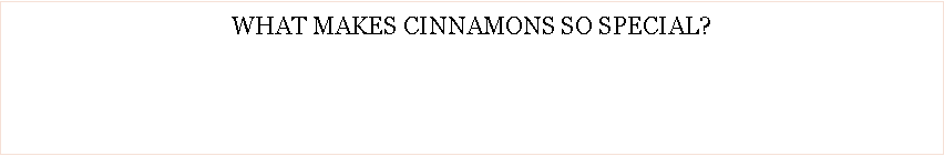 Text Box: WHAT MAKES CINNAMONS SO SPECIAL?  