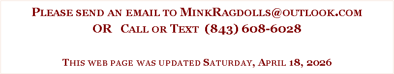 Text Box: Please send an email to MinkRagdolls@outlook.comOR   Call or Text  (843) 608-6028This web page was updated Saturday, April 18, 2026