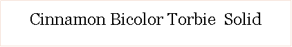 Text Box: Cinnamon Bicolor Torbie  Solid
