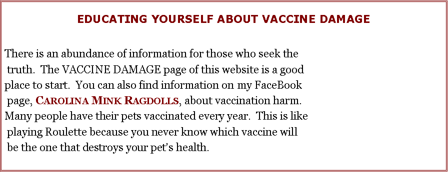 Text Box: EDUCATING YOURSELF ABOUT VACCINE DAMAGEThere is an abundance of information for those who seek the truth.  The VACCINE DAMAGE page of this website is a good place to start.  You can also find information on my FaceBook page, Carolina Mink Ragdolls, about vaccination harm.  Many people have their pets vaccinated every year.  This is like playing Roulette because you never know which vaccine will be the one that destroys your pet�s health.  