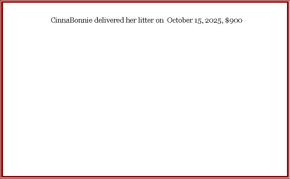 Text Box:   CinnaBonnie delivered her litter on  October 15, 2025, $900							