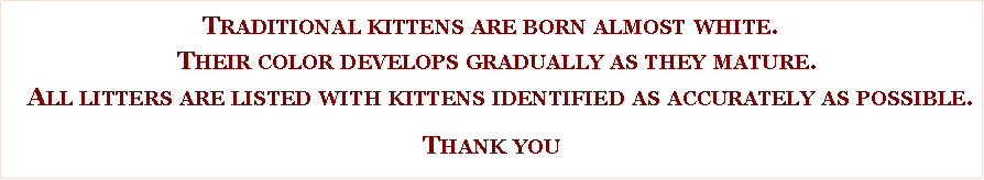 Text Box: Traditional kittens are born almost white.  Their color develops gradually as they mature.   All litters are listed with kittens identified as accurately as possible.  Thank you 