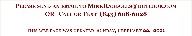 Text Box: Please send an email to MinkRagdolls@outlook.comOR   Call or Text  (843) 608-6028This web page was updated  Sunday, February 22,  2026