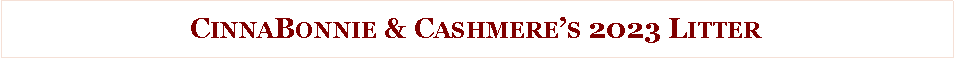 Text Box: CinnaBonnie & Cashmere�s 2023 Litter