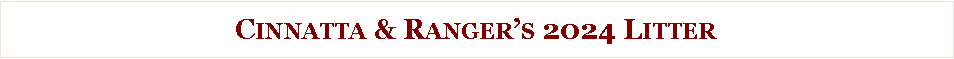 Text Box: Cinnatta & Ranger�s 2024 Litter