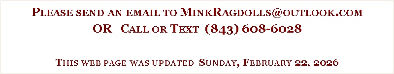 Text Box: Please send an email to MinkRagdolls@outlook.comOR   Call or Text  (843) 608-6028This web page was updated  Sunday, February 22, 2026